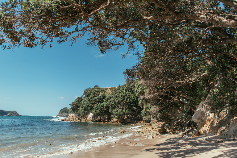 coromandel wedding photographers